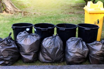 Yard Waste Removal in West Farms